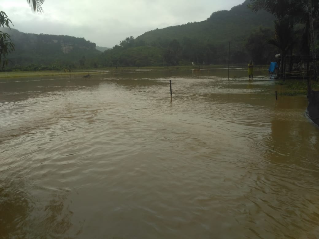 Limapuluh Kota Banjir, Masyarakat Diminta Siaga 2 023 banjir limpul b