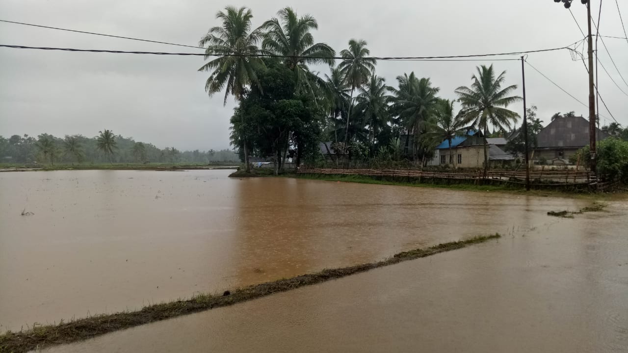 Gerak Cepat, Dinas PUPR Kab. Solok Datangi Lokasi Banjir dan Longsor 2 080 pu banjir c