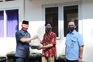 budidaya