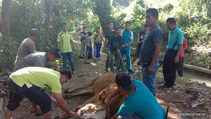 masyarakat