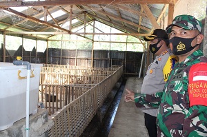Kapolres Solok; Kampung Tageh Dukung Ketahanan Pangan Masyarakat 2 kapolres