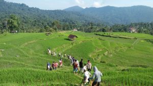 Budaya Tolak Bala, Masih Lestari ditengah Masyarakat Sariak Laweh 2 IMG 20200830 WA0005