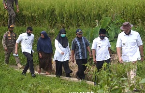 padang