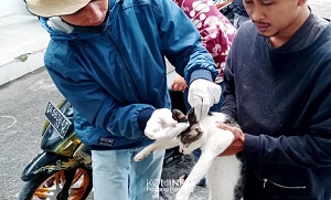 0180 rabies b