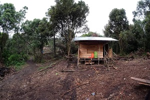 Jalur Baru Mendaki Gunung Talang, 2 Jam via Bukik Bulek