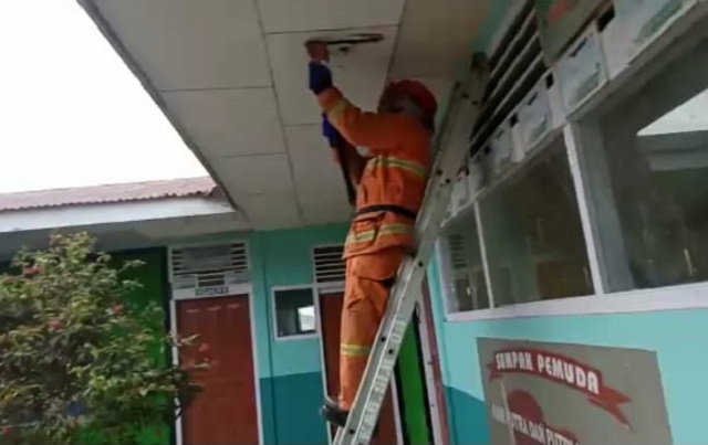 Siswa SDN 23 Aia Dingin "Dilakak" Tawon, Damkar Kab. Solok Turun Tangan