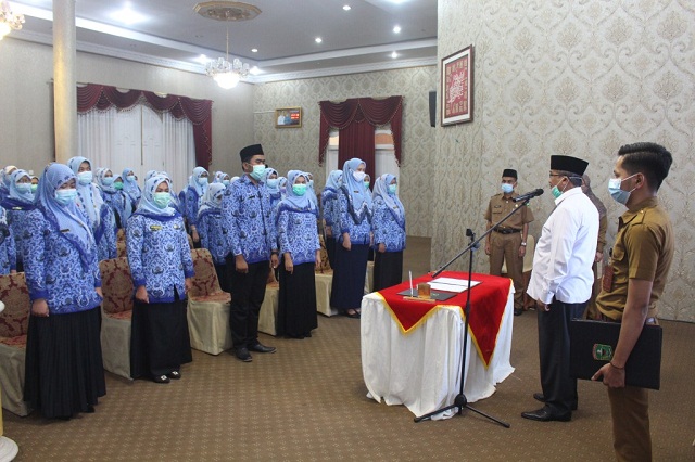 Fungsi lam bupati