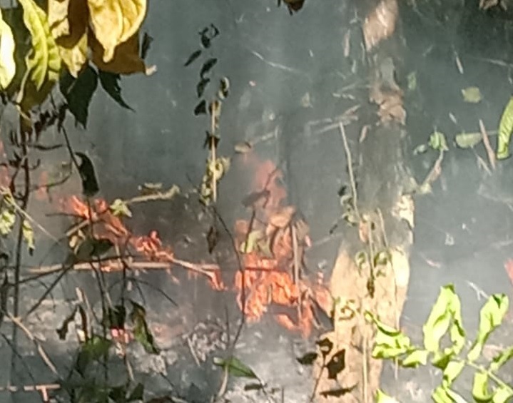 0170 bakar lahan b