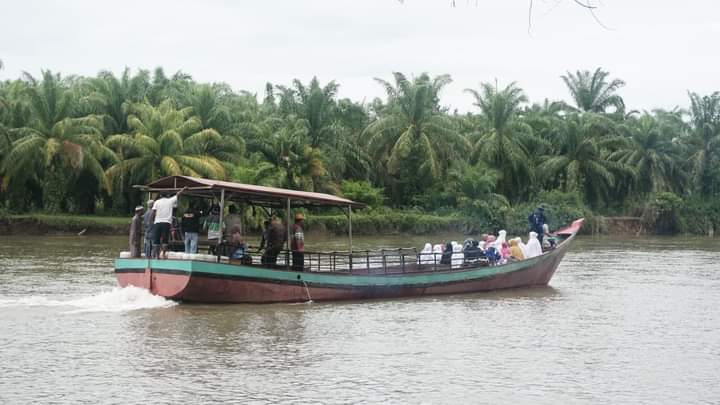 buaya