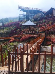 Pincuran Puti Talang Babungo, Geowisata Yang Menggoda 5 IMG 20230105 WA0001