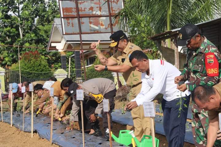 bupati