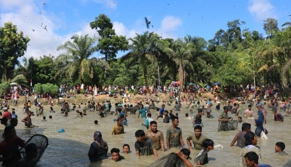 Masyarakat Telabang Sakti, Kabupaten Sijunjung Panen Ikan Larangan 1 sakti