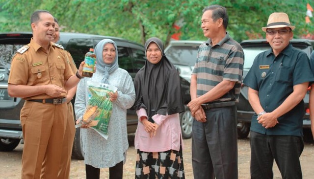 Pupuk sijunjung