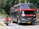Transformasi Bus Sumbar, Setelah Ma Unjua kini Muncul Lalok Class