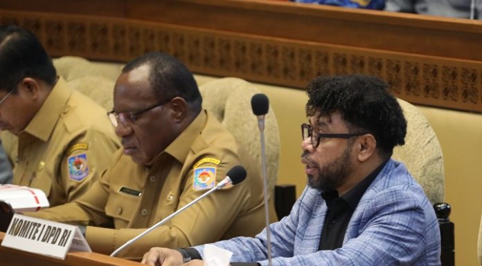 Cermati Polemik Realisasi Proyek di Daerah, Filep Dorong S