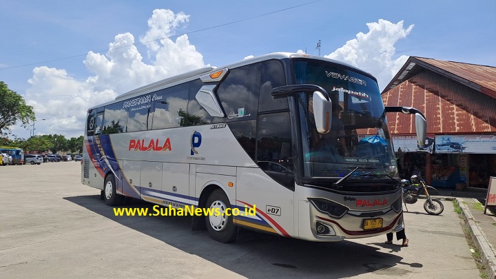 02204 palala a