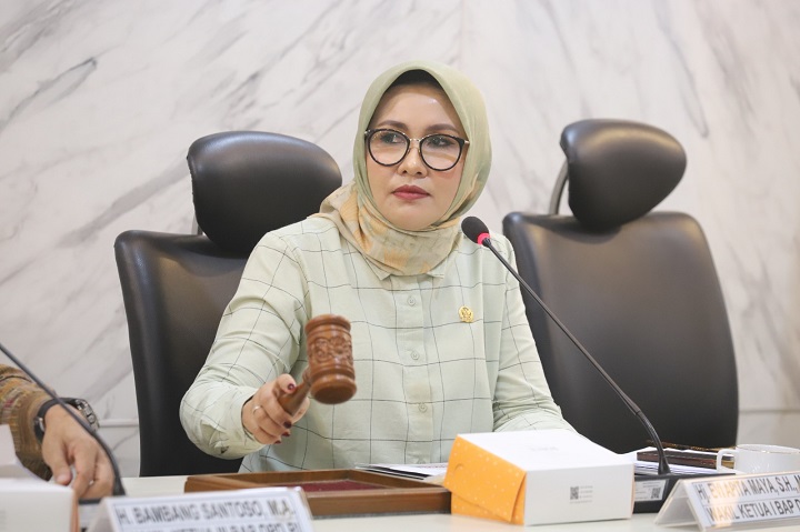 02308 bap dpd ri a BAP DPD RI Tindaklanjuti Dua Pengaduan Berbeda