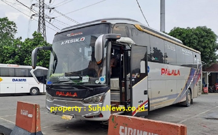 01801 palala eo4 b