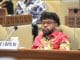 Filep Komentari Kasus Pengkondisian BPK di Papua Barat Filep Komentari Kasus Pengkondisian BPD di Papua Barat