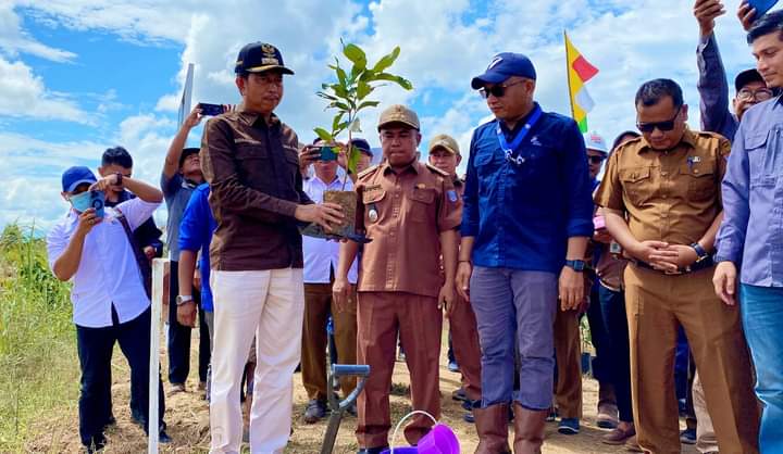 Wabup Risnawanto Tanam Pohon Bersama PT Bakrie Pasaman Plantations di DAS Batang Sikabau 2 Pohon