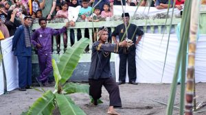 Ratusan Pengunjung Saksikan Prosesi Manabang Batang Pisang, Pada Pesona BUdaya Tabuik Piaman 2024 2