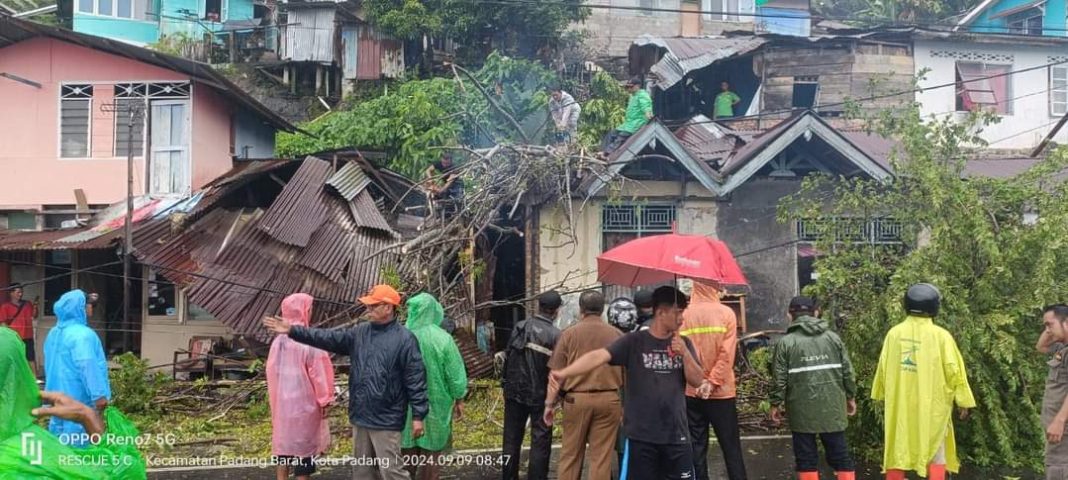 Gerak Cepat BPBD Padang Bersihkan Material Pohon Tumbang dan Selamatkan Warga