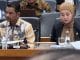 Bahas Revisi UU Pemerintahan Aceh, Masuk Prolegnas 2024-2029