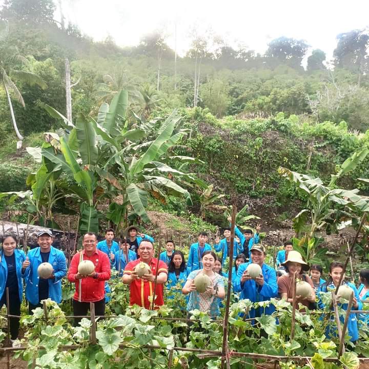 Pj. Bupati Kepulauan Mentawai Panen Buah Melon di SMK Cahaya Logos