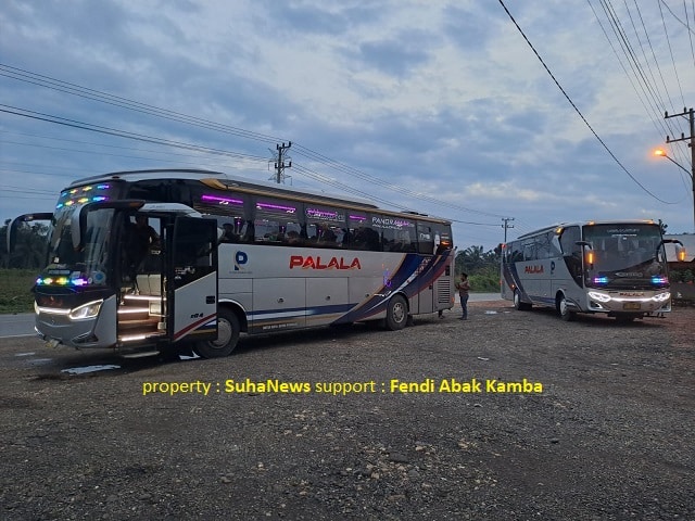 Bus Palala Berikan Service Makan, Segini Harga Tiketnya 1