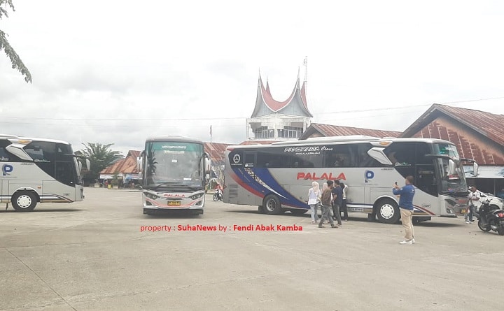 01401 bus mpm palala b
