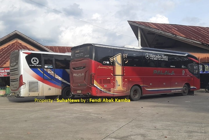 01601 bus palala a