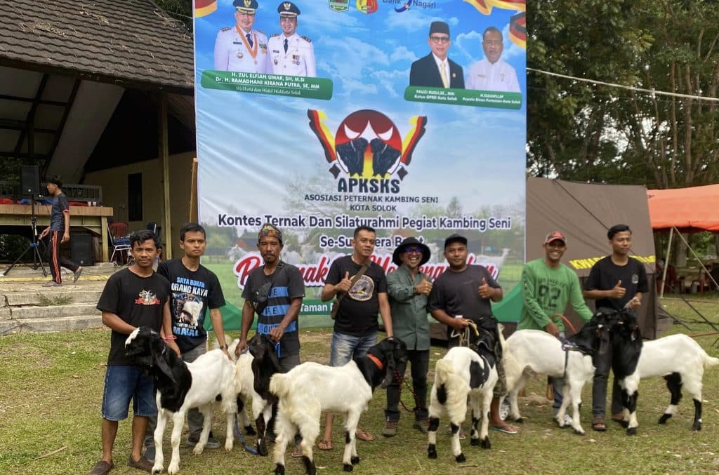 01606 kambing a