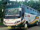 Bus Ekonomi Dirindu Ditengah Gempuran Kemewahan Bus Premium
