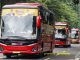 150 Bus Bawa Perantau Minang Pulang Basamo Gratis Partai Gerindra 2025
