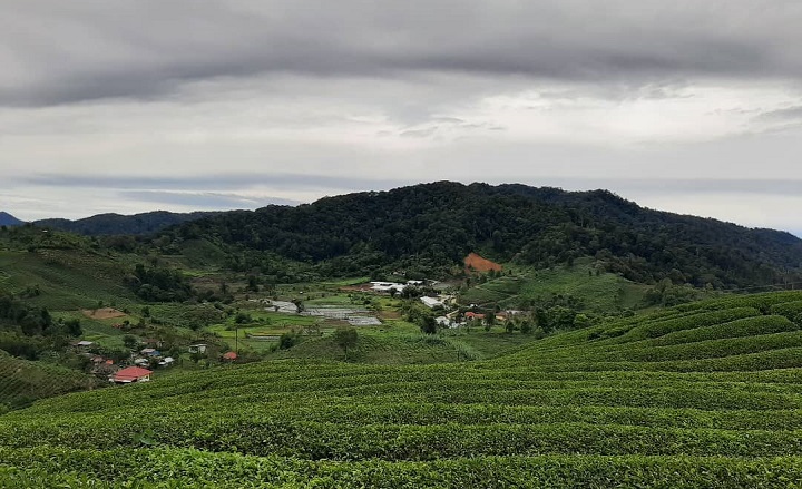 00402 jalan wisata c