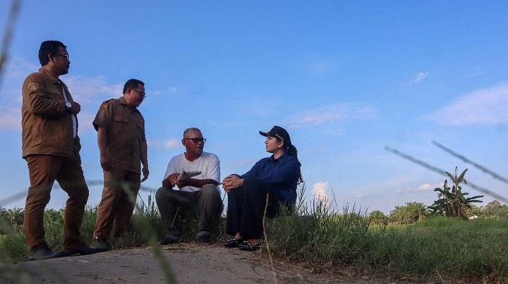 Susuri Sungai Duo hingga Sipangkur, Bupati Annisa Serap Aspirasi Petani 2 00405 buoati annisa b