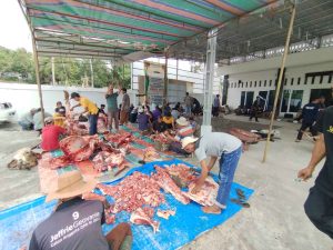 Idul Adha 1446 H Jorong Batu Palano Selayo Semblih 40 Hewan Qurban 3 1000559666 11zon