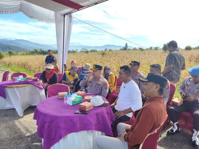 Jagung a