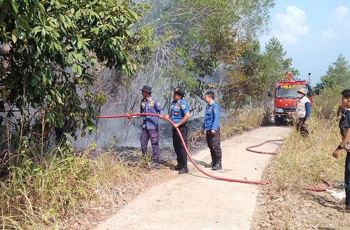 00303 kebakaran cupak b