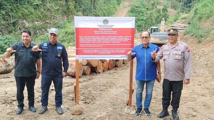 Balai Penegakan Hukum Kehutanan Hentikan Aktivitas Penebangan Hutan di Sariek Bayang 1 Hutan