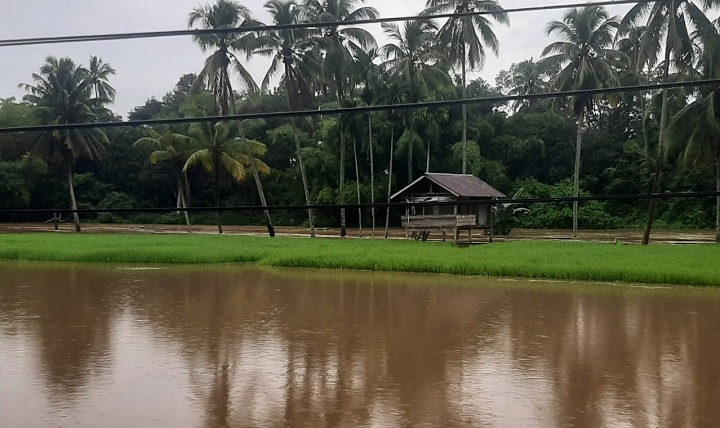 Batang Lembang Mulai Meluap, BPBD Kab. Solok Ingatkan Waspada Banjir 3 02402 banjir a