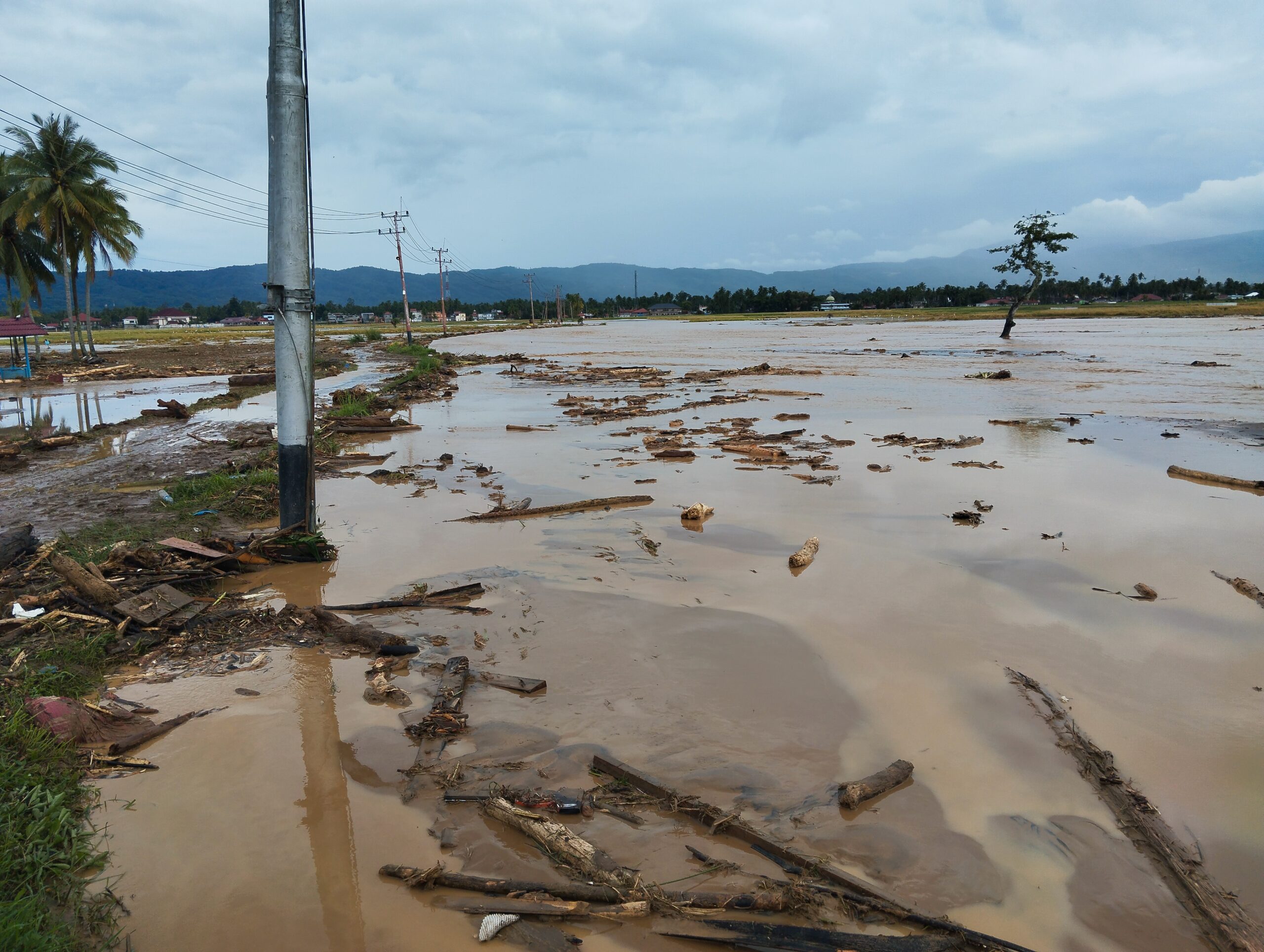 Munggu tanah Salayo Porak Poranda, Sawah Rusak Parah Usai di Terjang Banjir 3 IMG 20251127 160216 scaled