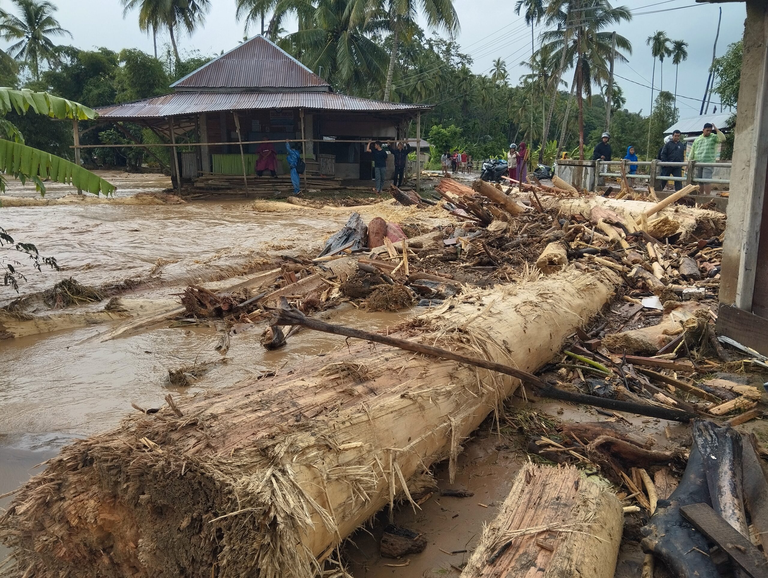 Munggu tanah Salayo Porak Poranda, Sawah Rusak Parah Usai di Terjang Banjir 4 IMG 20251127 160329 scaled