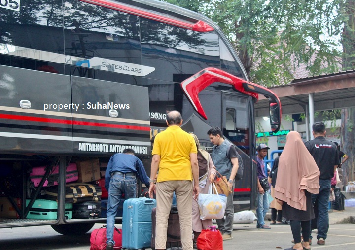01408 bus poris plawad b