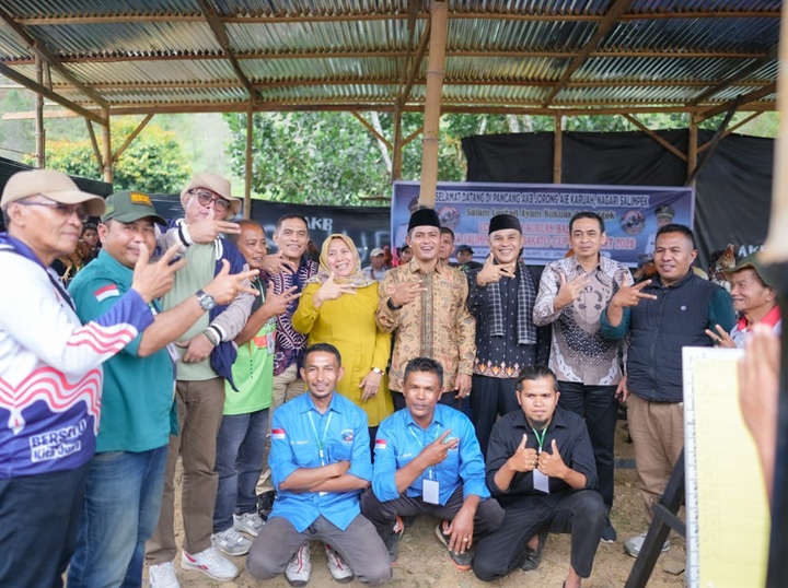 Ayam b