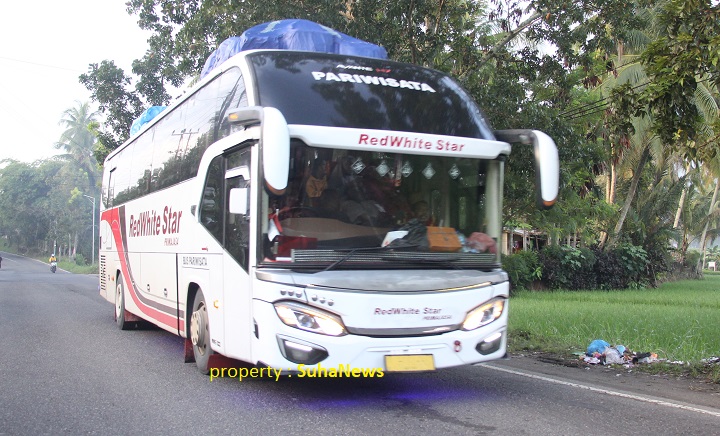 03103 bus primajasa b