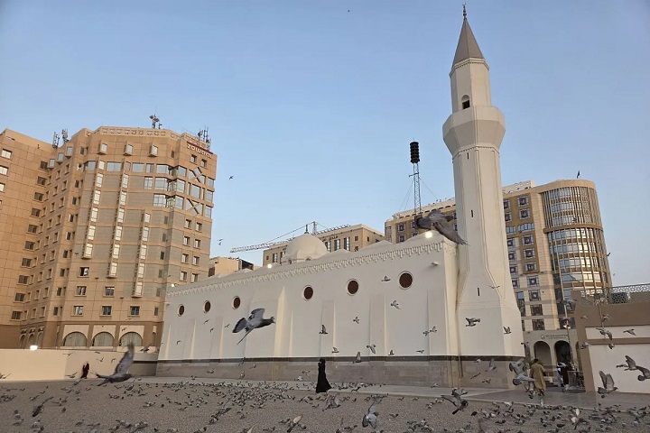 00806 masjid ali foto antara