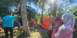 Qurban Tiga Sapi di MAN 1 Solok Plus Keterampilan, Wujud Kemenag Berdampak