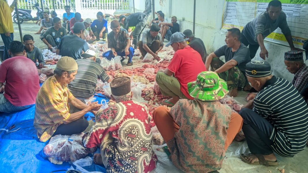 Di Hari Tasyrik, Jorong Batu Palano Selayo Sembelih Puluhan Hewan Qurban
