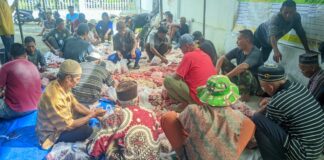 Di Hari Tasyrik, Jorong Batu Palano Selayo Sembelih Puluhan Hewan Qurban
